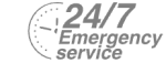 24/7 Emergency Service Pest Control in East Finchley, N2. Call Now! 020 8166 9746
