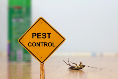 Pest Contol in East Finchley, N2. Call Now 020 8166 9746