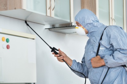 Home Pest Control, Pest Control in East Finchley, N2. Call Now 020 8166 9746